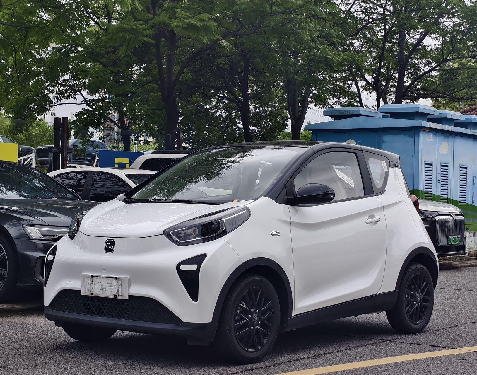 Little Ant 2024 Youth Edition 321km Love Edition 29.23kWh