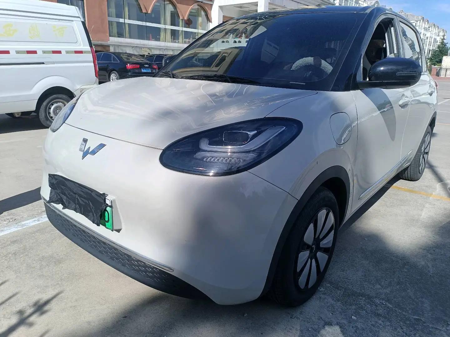 WuLing Plantronics 2023 333km Pleasant