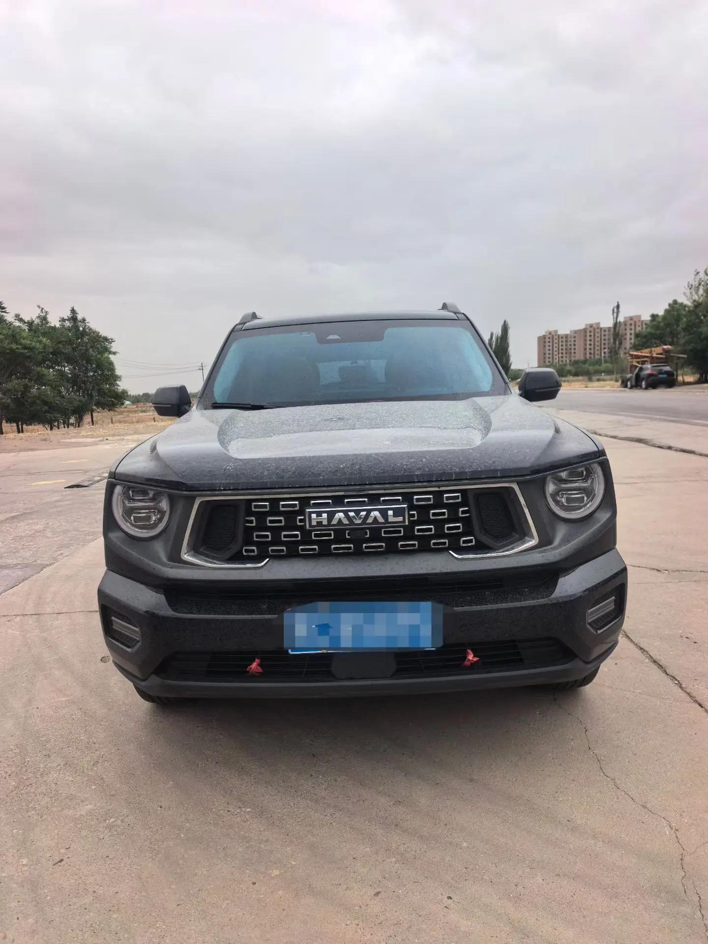 Haval 2023 Dog 1.5T Two-Wheel Drive Chao Ye Edition Plus Automatic 2