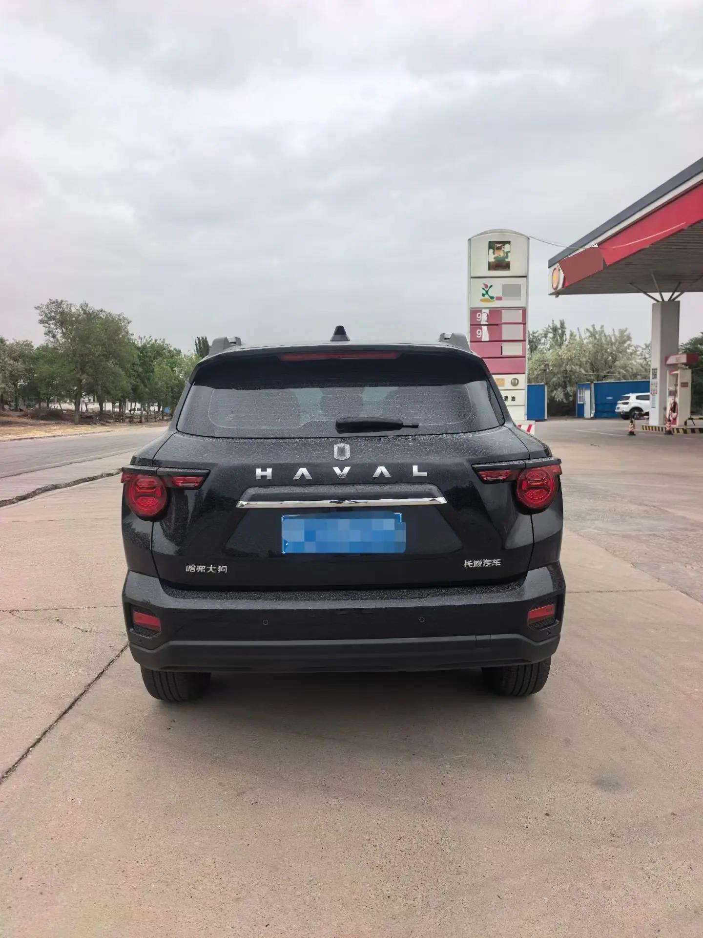 Haval 2023 Dog 1.5T Two-Wheel Drive Chao Ye Edition Plus Automatic 4