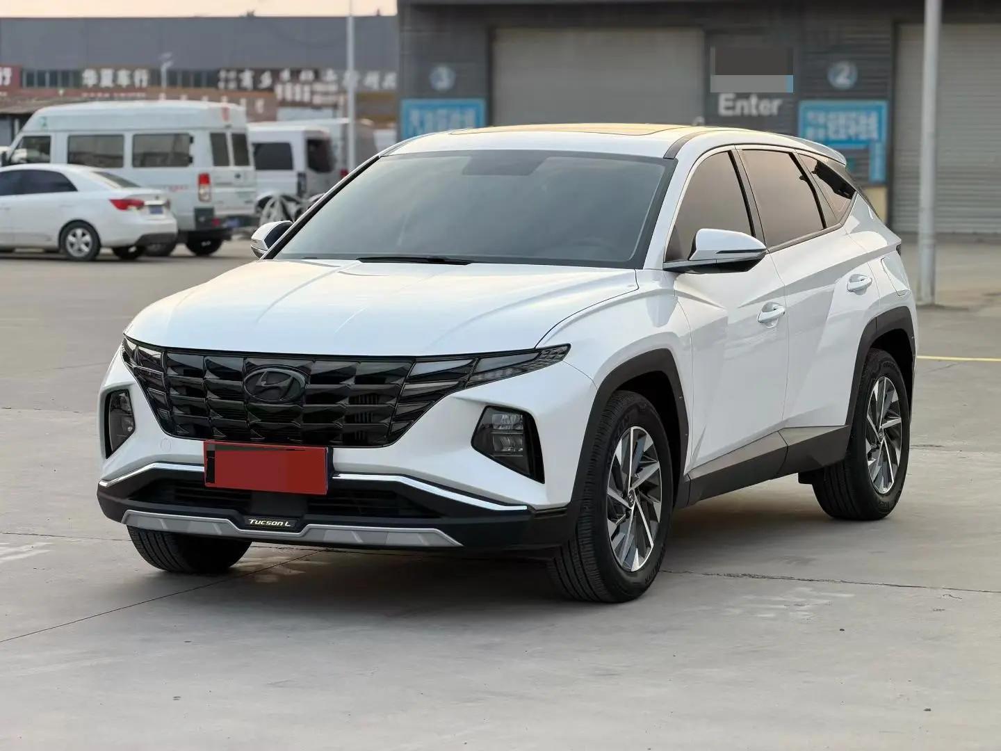 Tousheng 2021 Tousheng L 1.5T GLS Leading Edition