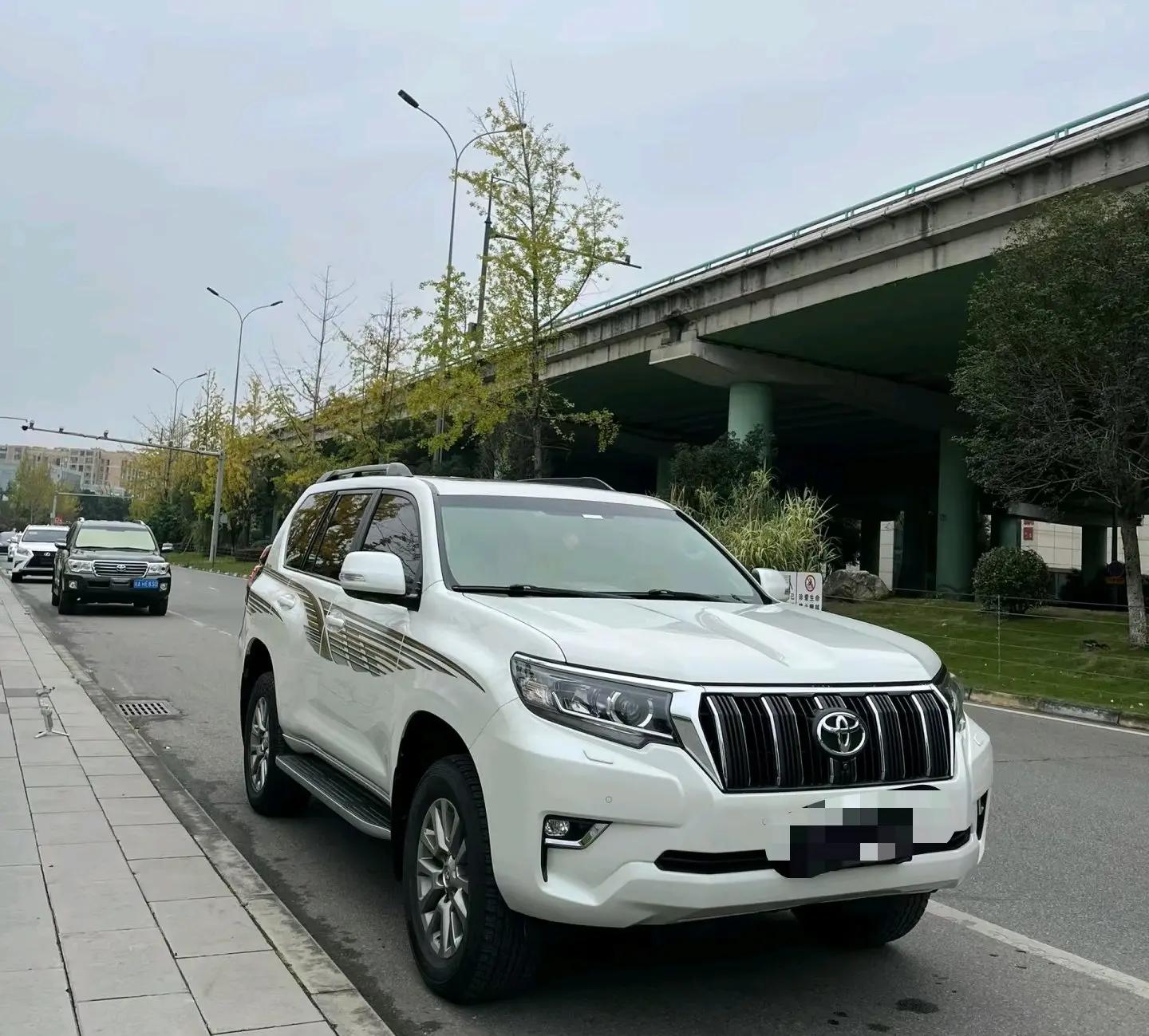 Prado 2019 3.5L Auto TX-L Premium Edition 2
