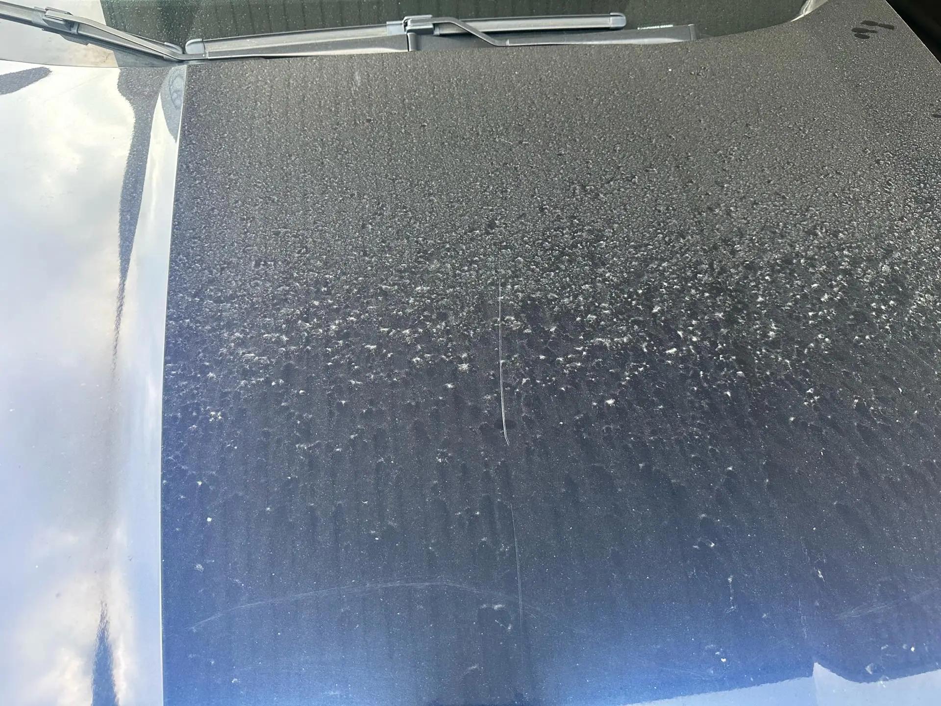 Yingshi Pai 2019 Sharp Hybrid 2.0L Net Shang Edition National V 13