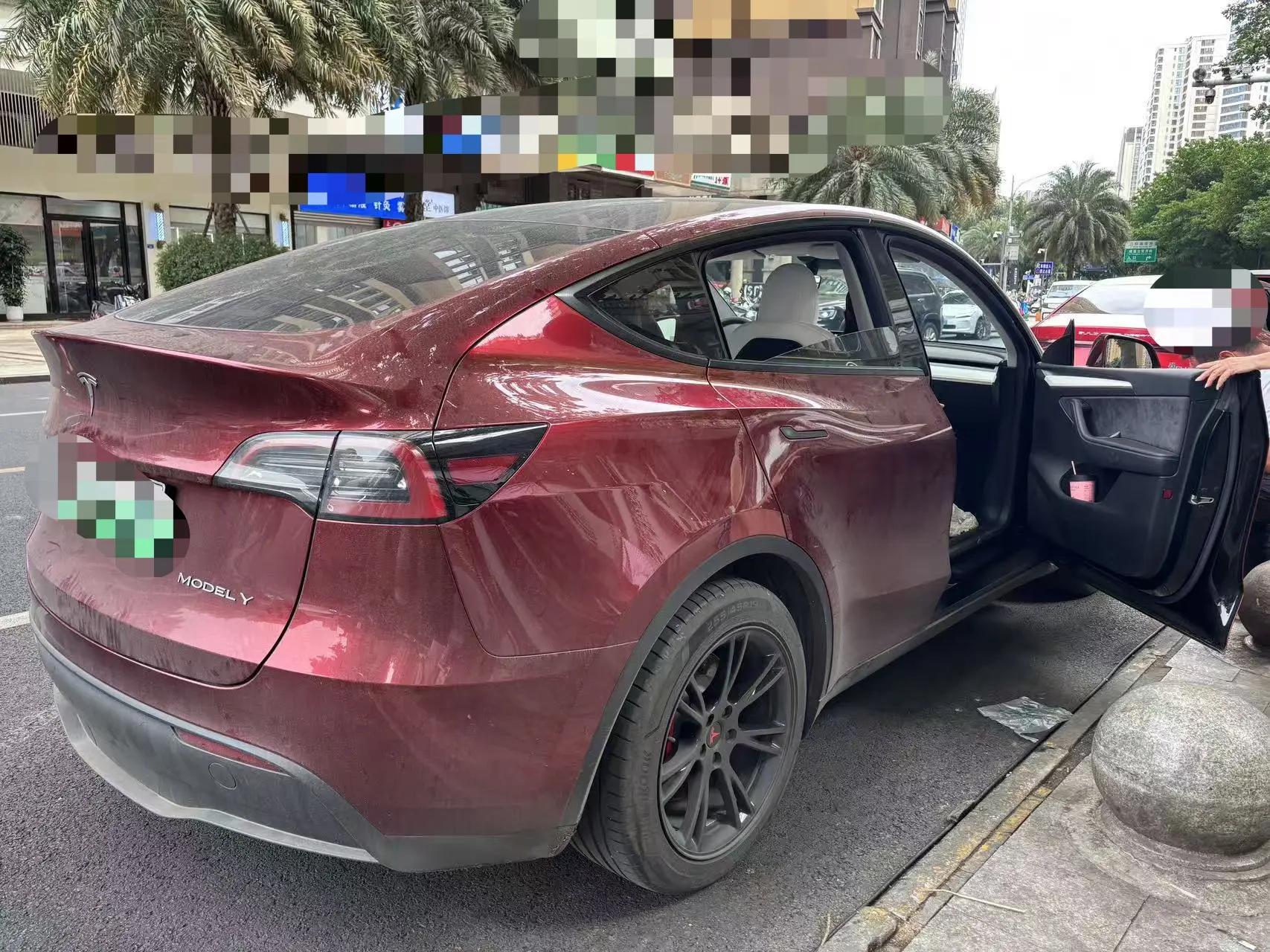 Model Y 2021 Standard Endurance Rear Drive Edition 3