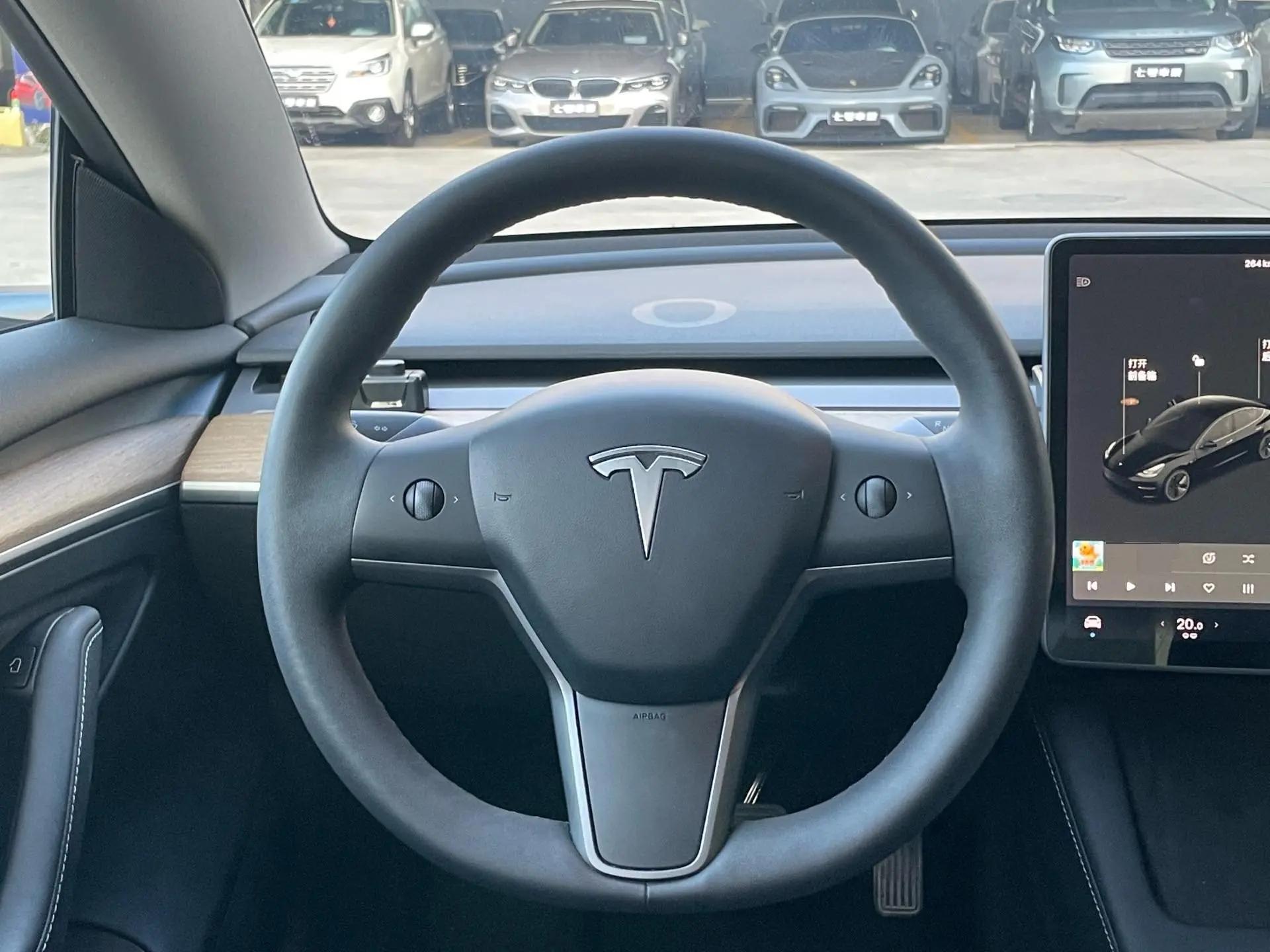 Model 3 2021 model facelift standard endurance rear drive upgrade 3D1 5