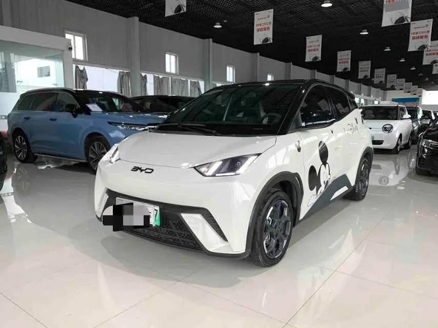 BYD 2025 Seagull Intelligent Driving Version 305km Free Edition Automatic