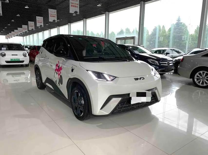 BYD 2025 Seagull Intelligent Driving Version 305km Free Edition Automatic 2