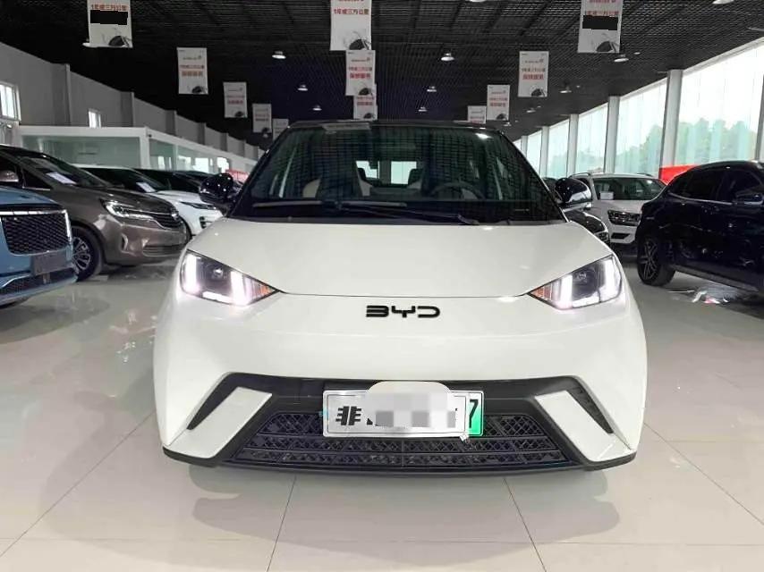 BYD 2025 Seagull Intelligent Driving Version 305km Free Edition Automatic 3