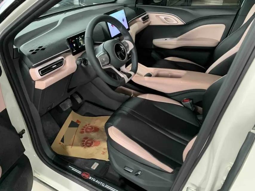 BYD 2025 Seagull Intelligent Driving Version 305km Free Edition Automatic 4