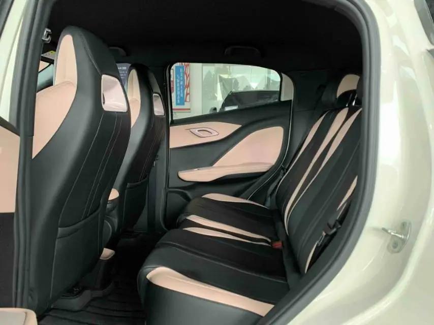 BYD 2025 Seagull Intelligent Driving Version 305km Free Edition Automatic 5