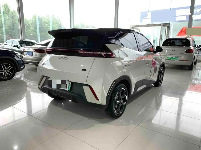 BYD 2025 Seagull Intelligent Driving Version 305km Free Edition Automatic 7