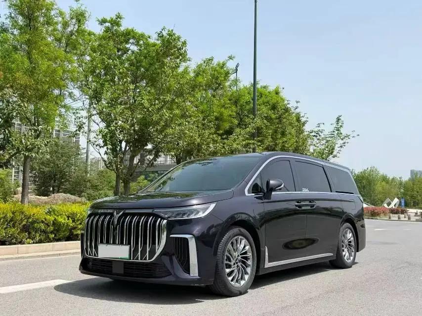Dreamer 2024 PHEV Super Long Life Ultimate Edition