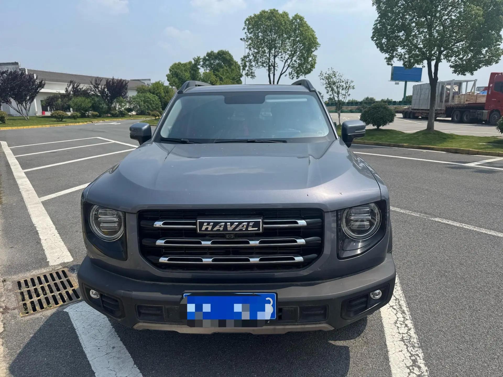 Haval Big Dog 2022 1.5T DCT Two-Drive Labrador Edition 2