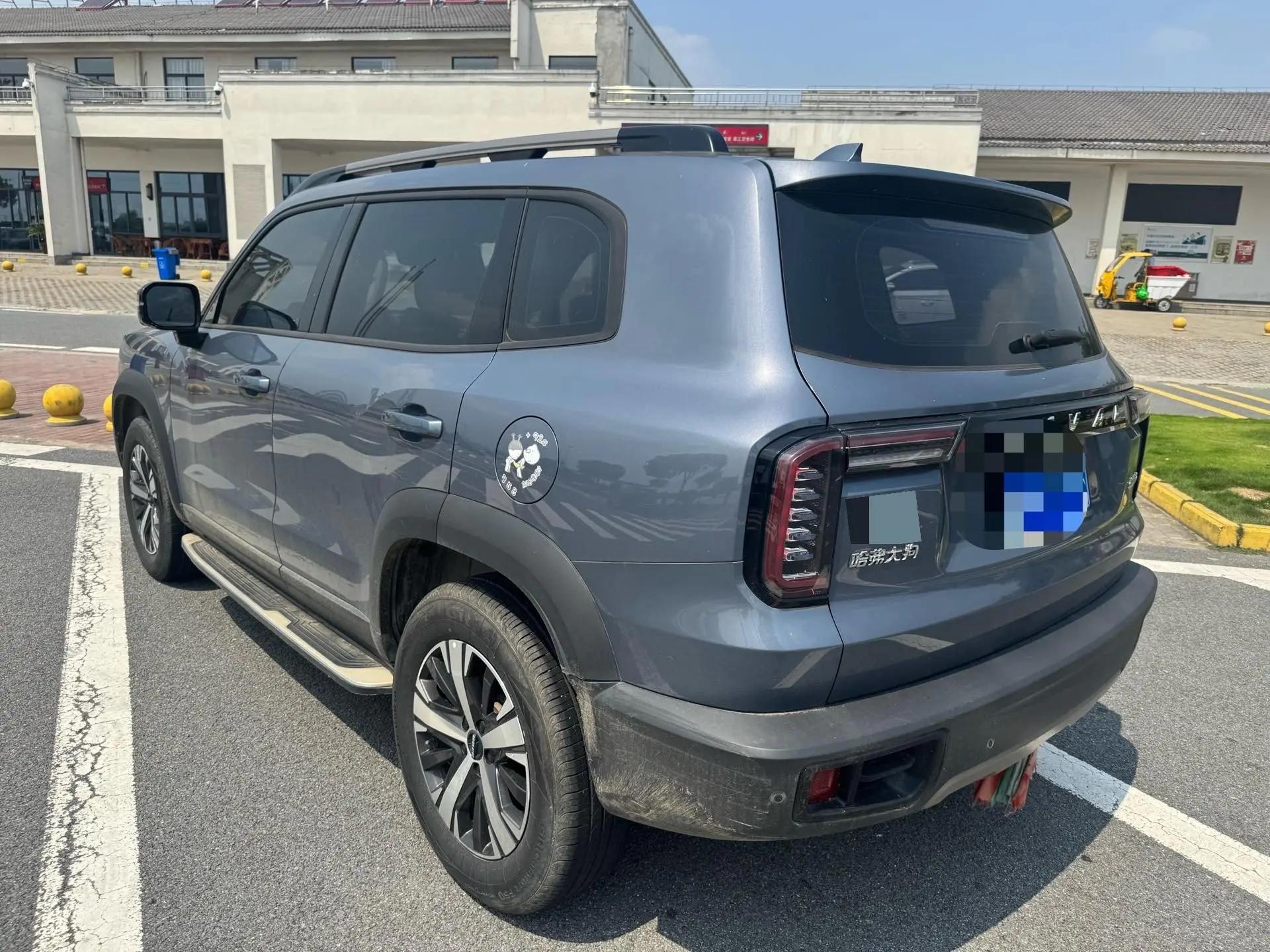 Haval Big Dog 2022 1.5T DCT Two-Drive Labrador Edition 8