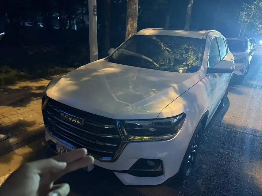Haval H6 2021 National Tide Edition 1.5T Automatic City Edition