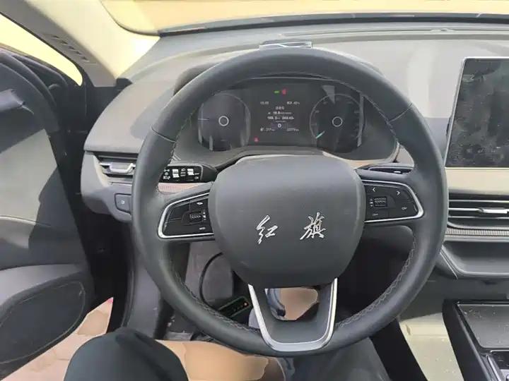 HongQi E-QM5 2021 net charging basic version 5 10