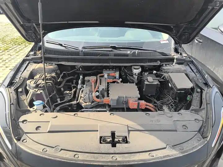 HongQi E-QM5 2021 net charging basic version 5 19