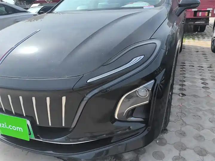 HongQi E-QM5 2021 net charging basic version 5 23