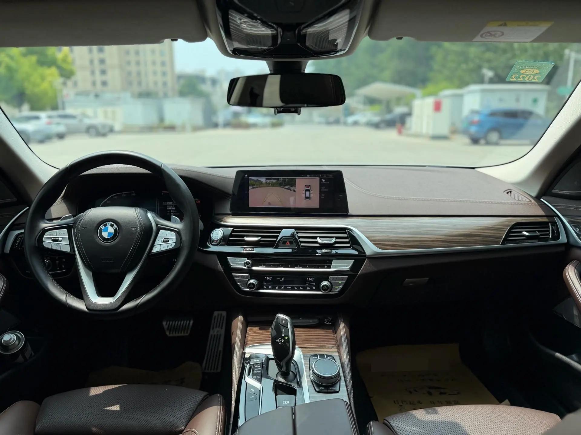BMW 5 Series 2020 530Li Luxury Model with Luxury Package 11