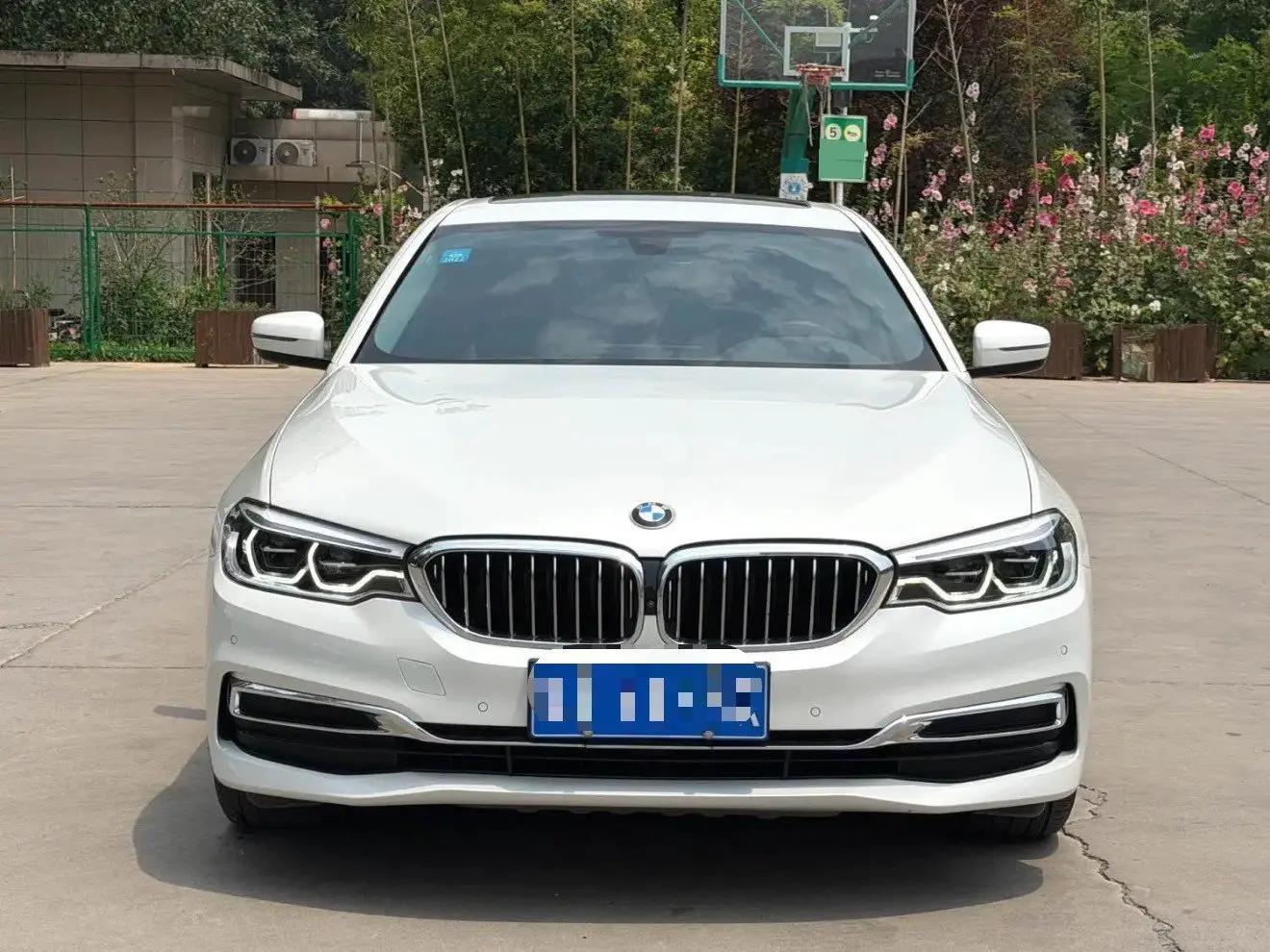 BMW 5 Series 2020 530Li Luxury Model with Luxury Package 2