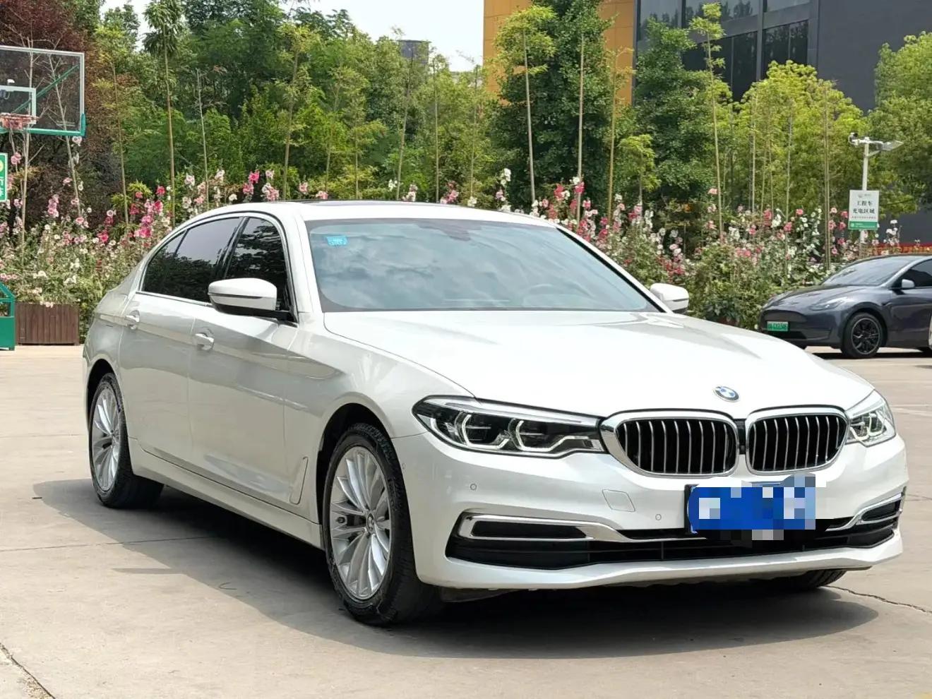 BMW 5 Series 2020 530Li Luxury Model with Luxury Package 3
