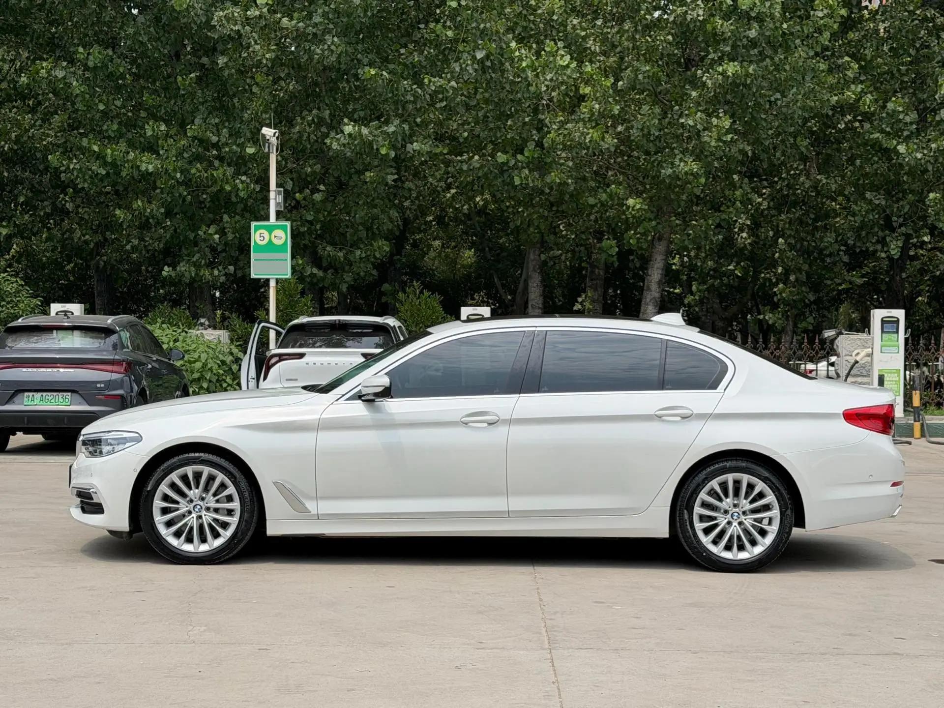 BMW 5 Series 2020 530Li Luxury Model with Luxury Package 4