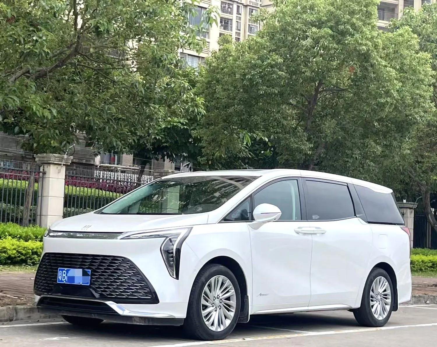 Century 2023 Model 2.0T Seven-Seat Yanshi Edition