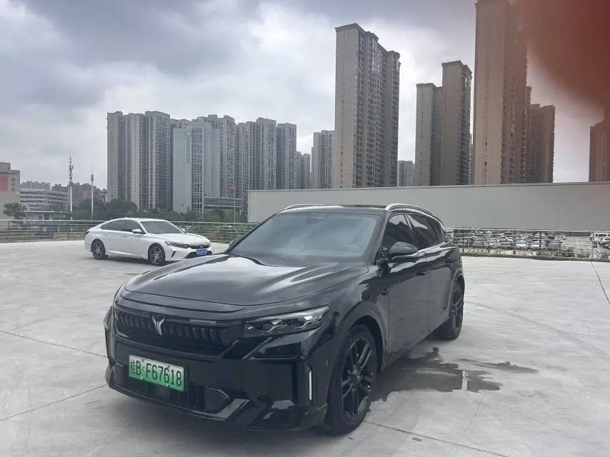 Voyah FREE 2024 Super Long Endurance Smart Driving Edition