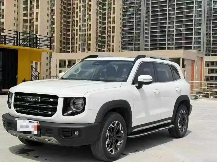 Haval Big Dog 2021 2.0T DCT Four-wheel Drive Chinese Garden Dog Edition
