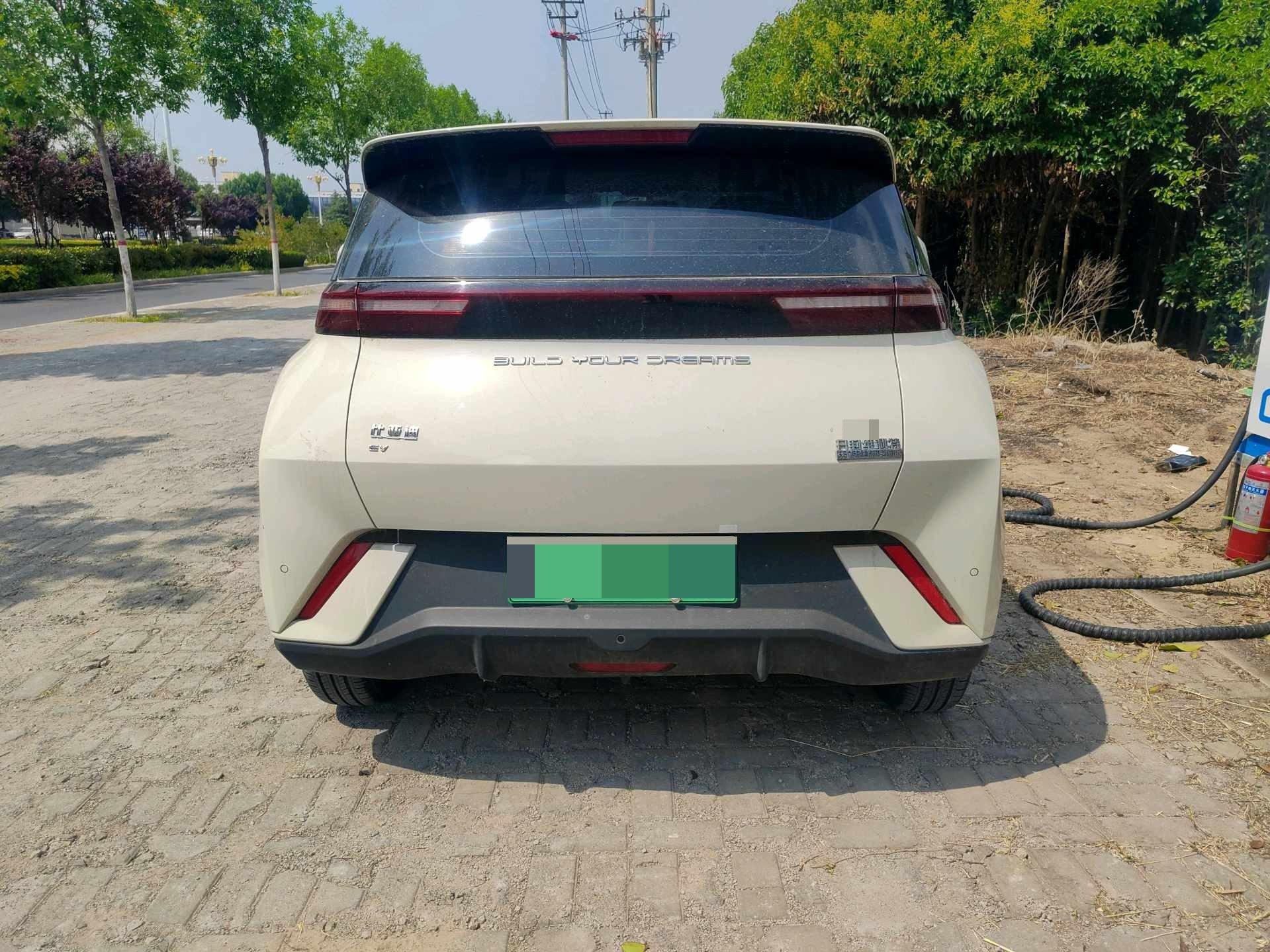 BYD 2024 Seagull Glory Edition 305km Free Version Automatic 4