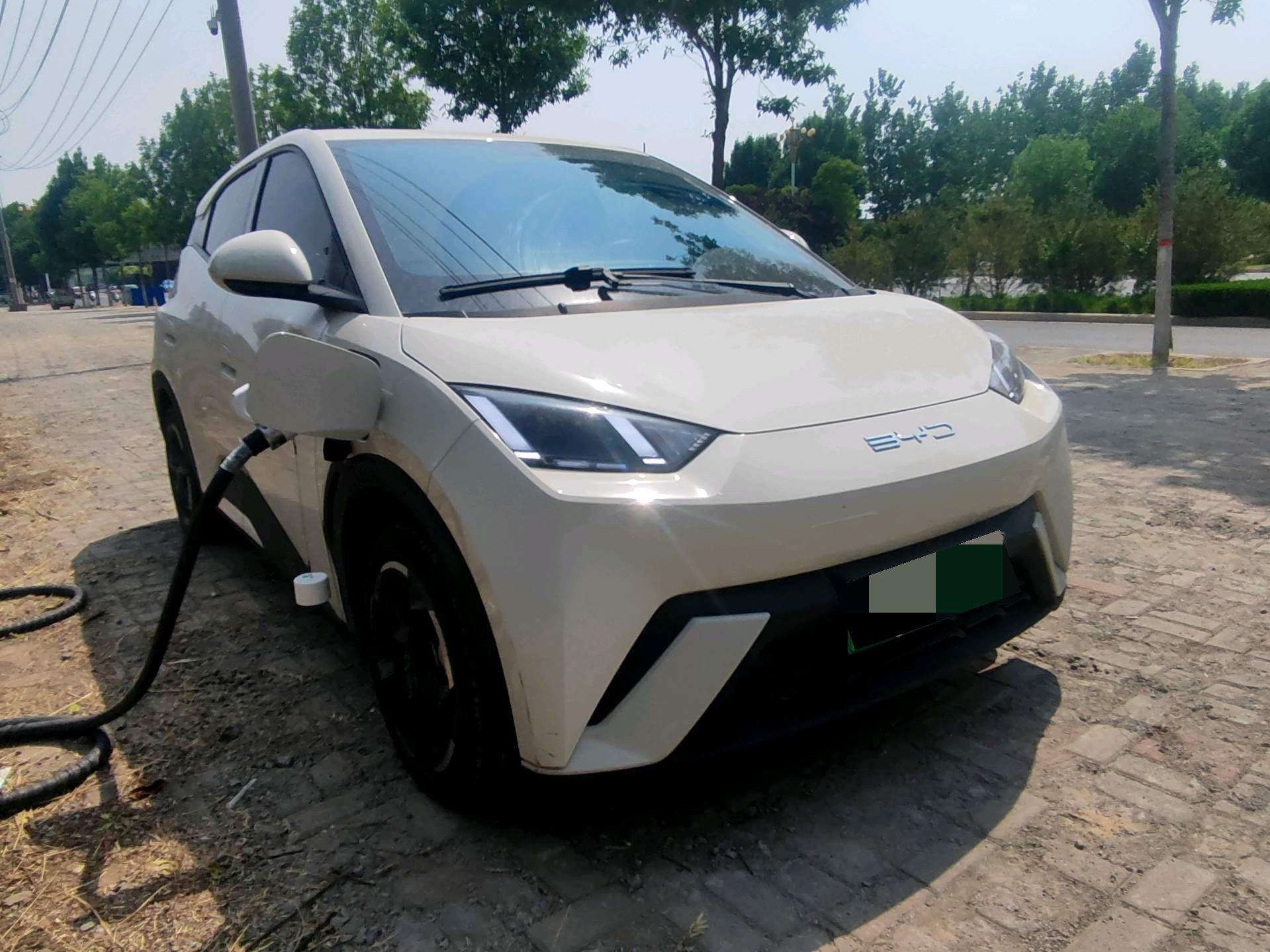 BYD 2024 Seagull Glory Edition 305km Free Version Automatic 8