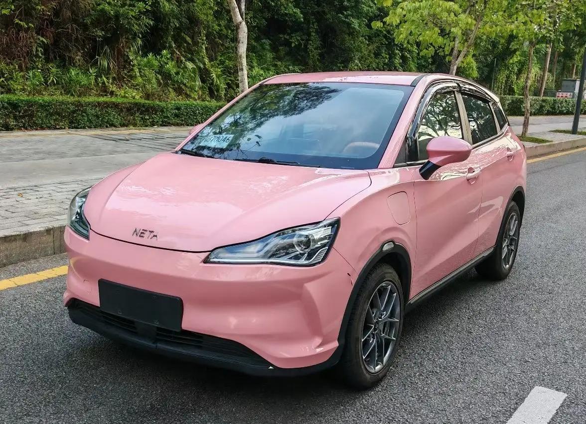 Neta V 2022 tide 400 Lite pink custom