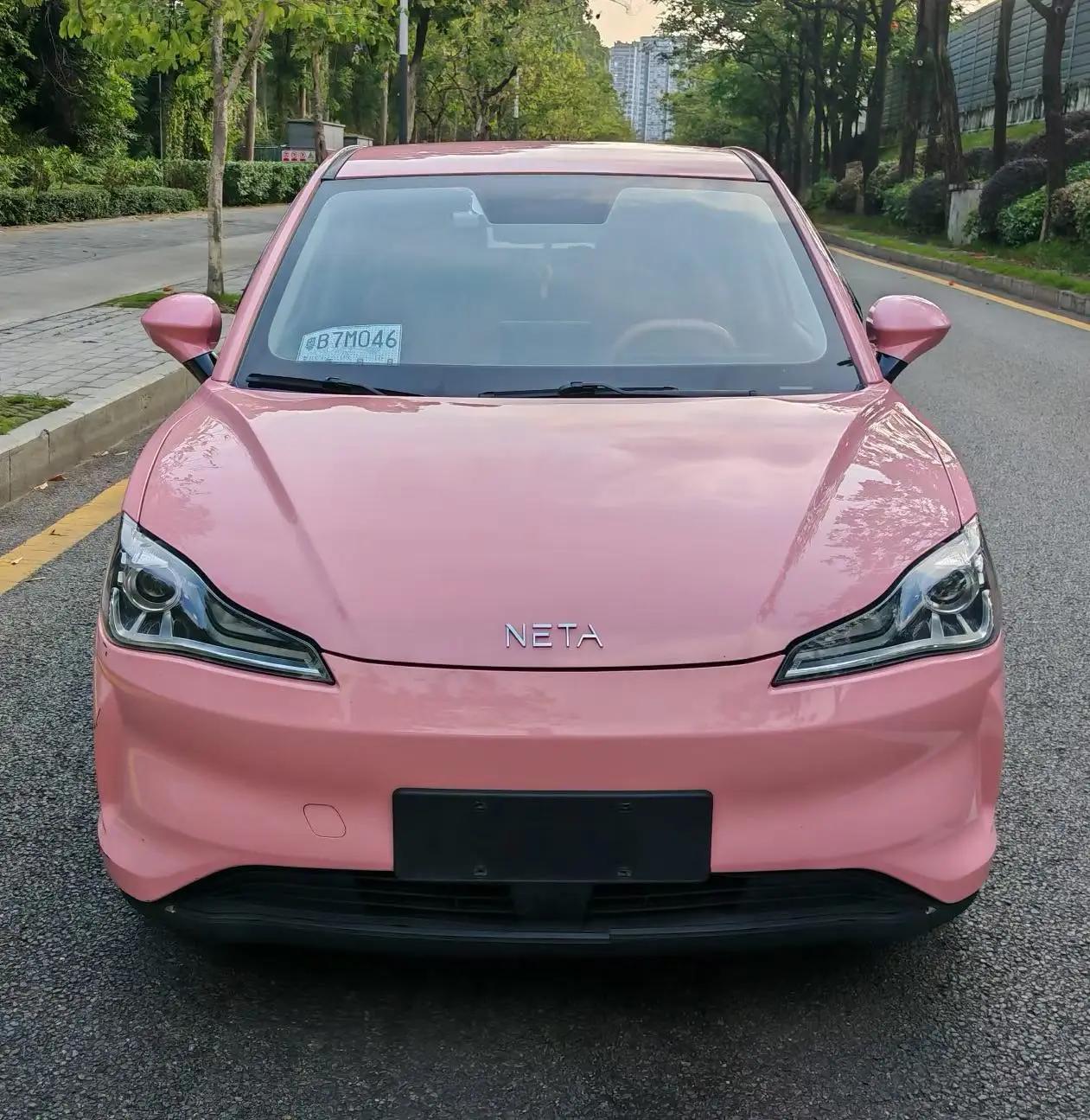 Neta V 2022 tide 400 Lite pink custom 2