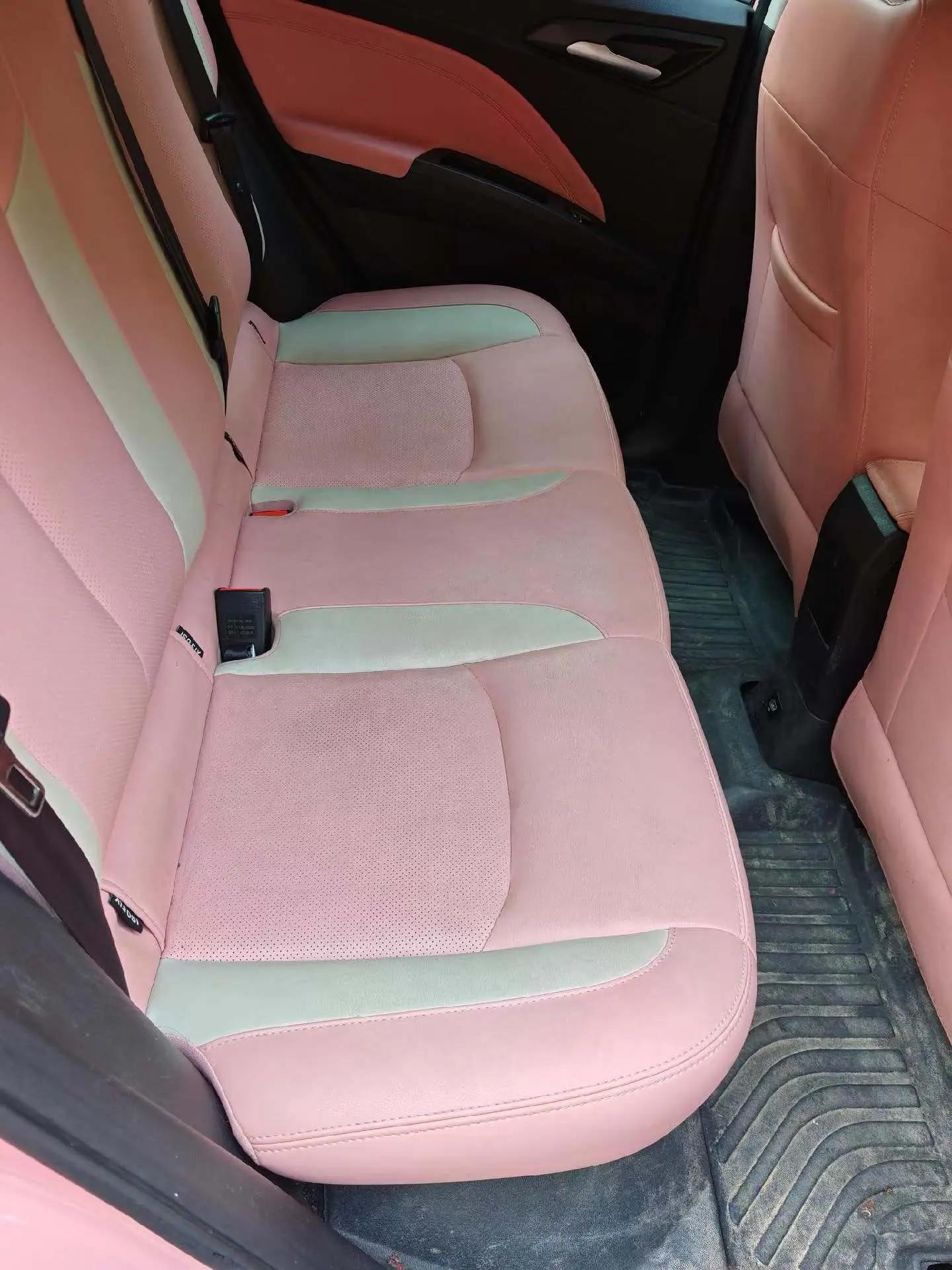 Neta V 2022 tide 400 Lite pink custom 6