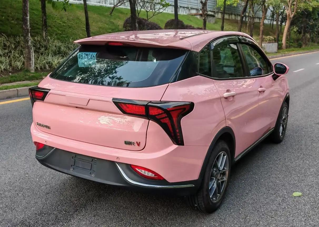 Neta V 2022 tide 400 Lite pink custom 7
