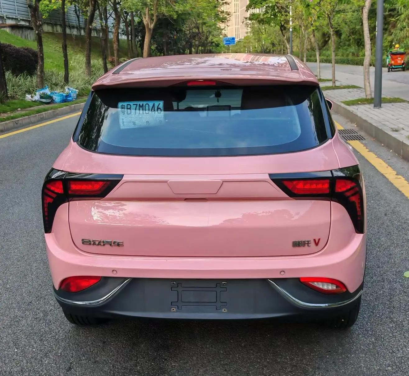 Neta V 2022 tide 400 Lite pink custom 8