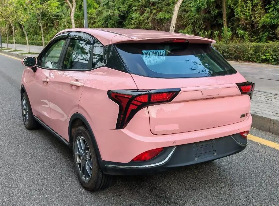 Neta V 2022 tide 400 Lite pink custom 9
