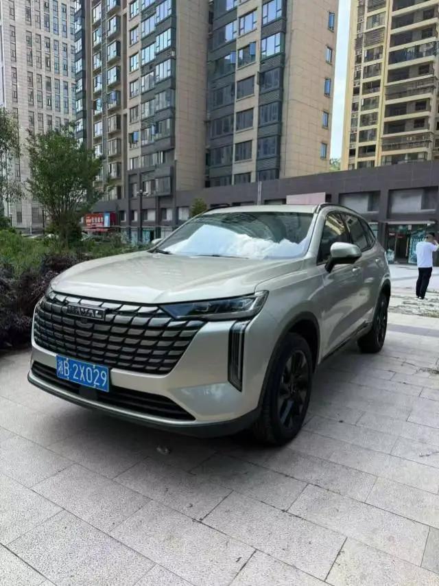 Haval 2024 Dog 1.5T Border Collie Edition Automatic