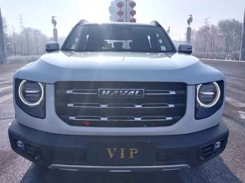 Haval Big Dog 2022 2.0T DCT Four-wheel Drive Chinese Garden Dog Edition 2