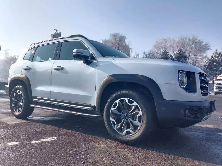 Haval Big Dog 2022 2.0T DCT Four-wheel Drive Chinese Garden Dog Edition 3