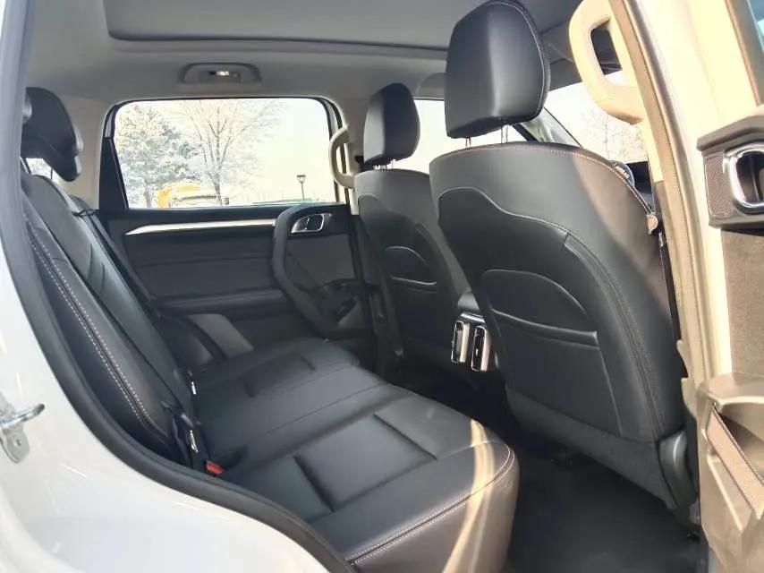 Haval Big Dog 2022 2.0T DCT Four-wheel Drive Chinese Garden Dog Edition 4