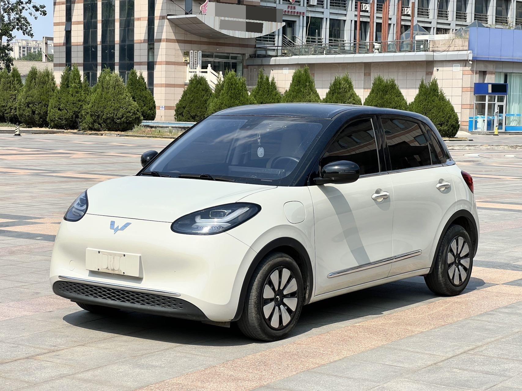WuLing Plantronics 2023 333km Fast