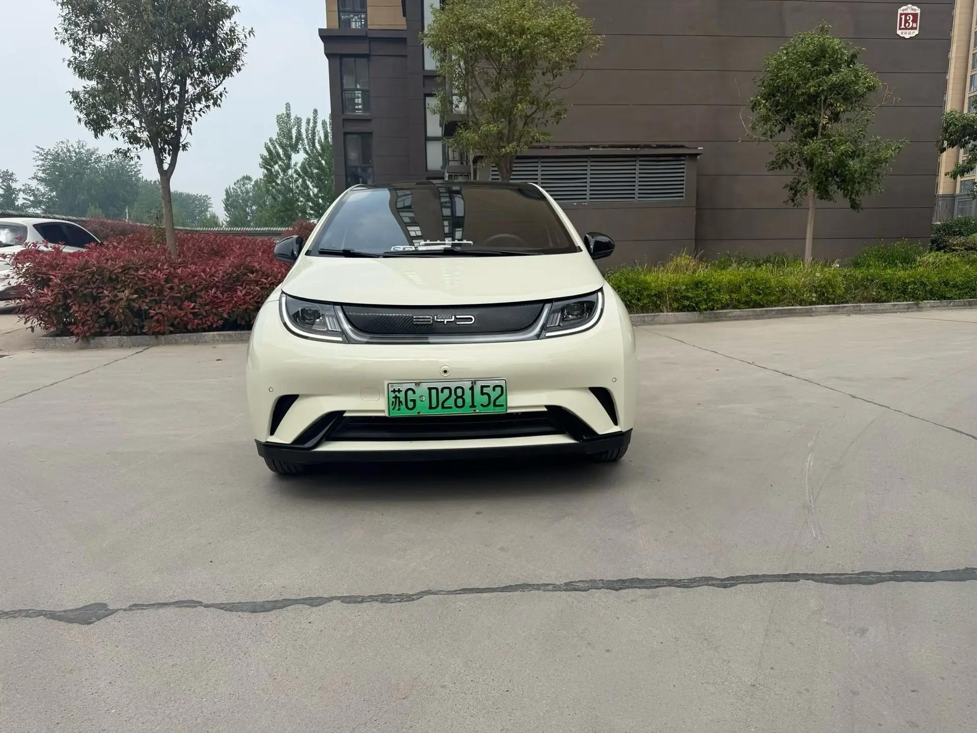 BYD 2024 Dolphin Glory Edition 420km Fashion Version Automatic 2