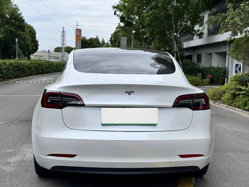 Model 3 2021 model facelift standard endurance rear drive upgrade 3D1 7