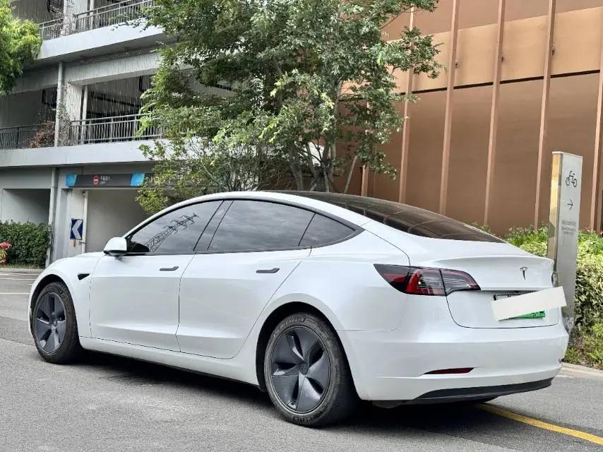 Model 3 2021 model facelift standard endurance rear drive upgrade 3D1 8