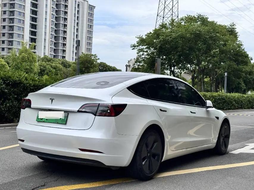 Model 3 2021 model facelift standard endurance rear drive upgrade 3D1 9