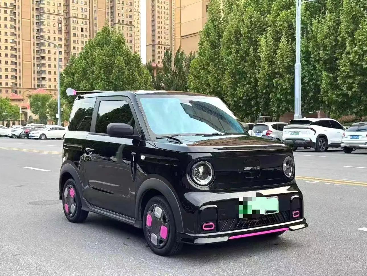 Geely 2025 Panda MINI 210km Panda Kart Automatic 3