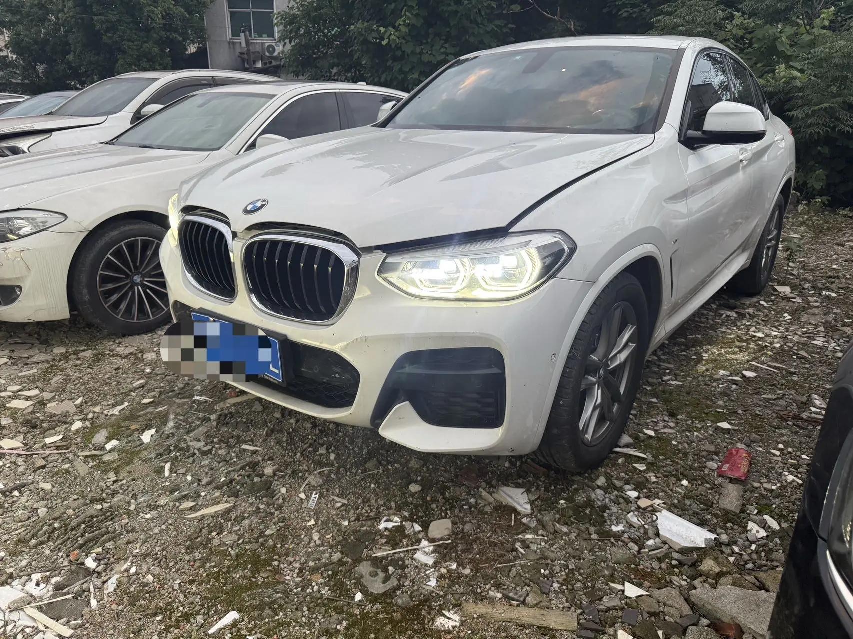 BMW X4 2020 xDrive25i M Sport Set