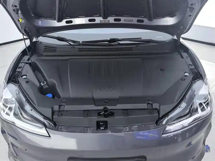 Neta V 2022 tide 300 Lite ternary lithium 10