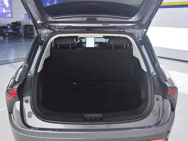 Neta V 2022 tide 300 Lite ternary lithium 4